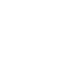 apple icon